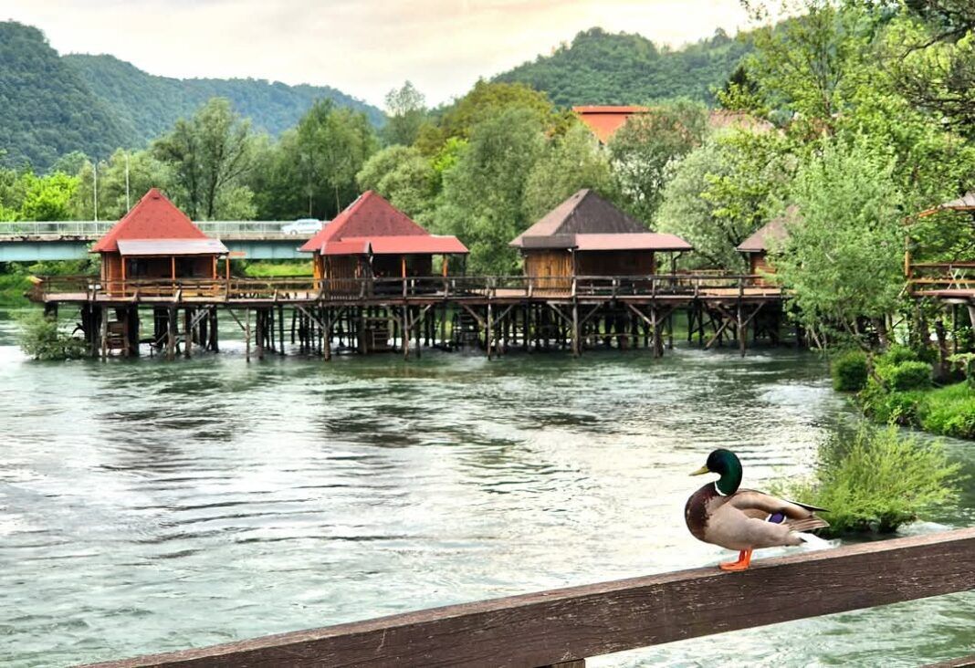 Servisne informacije za period od 31.10. do 03.11.2025. Servisne informacije za period od 31.10. do 03.11.2025.