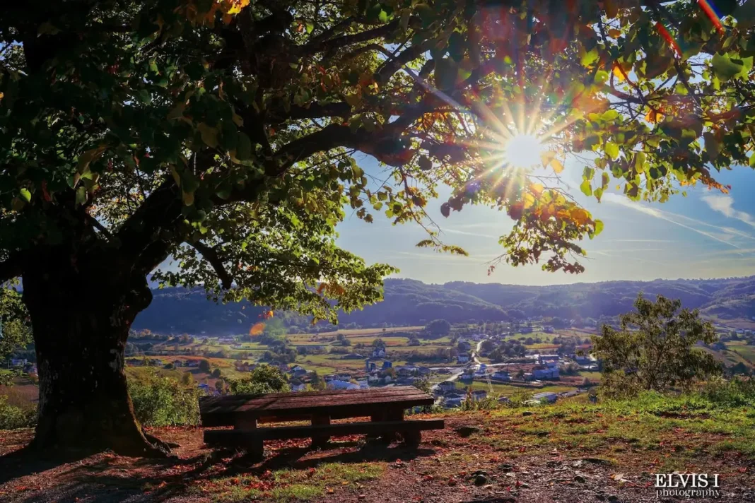 SERVISNE INFORMACIJE – 20.02.2026. SERVISNE INFORMACIJE – 20.02.2026.